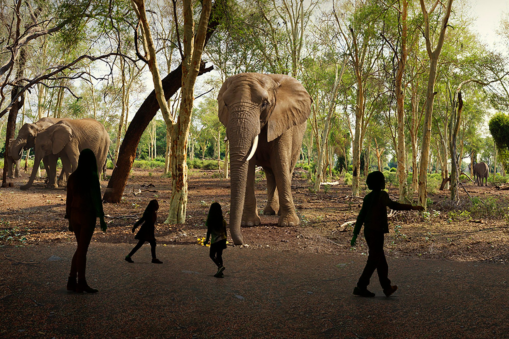 illuminarium WILD Safari Experience