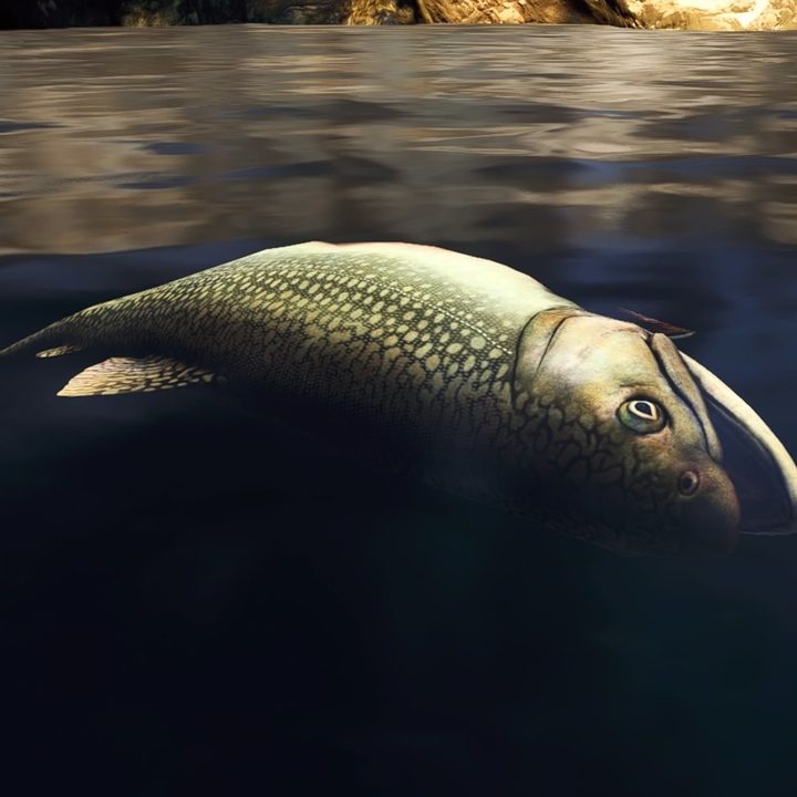 Resident Evil Village Fish