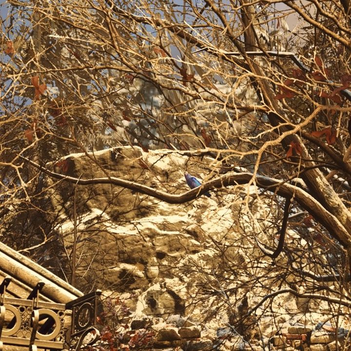 Resident Evil Village Rare Blue Bird