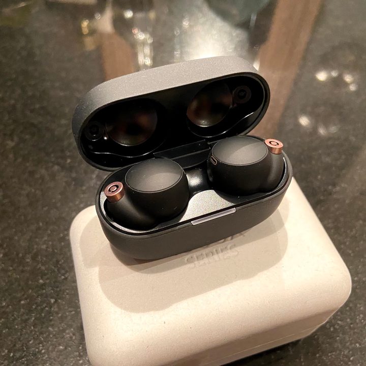 Sony WF-1000XM4 earbuds in their case.
