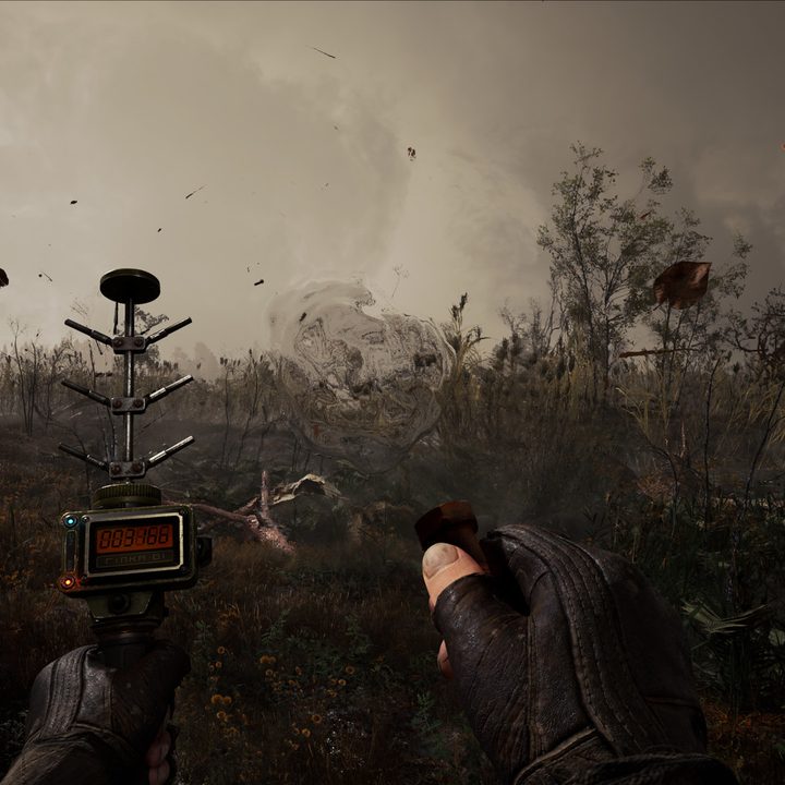 A character looks out over a dead landscape in STALKER 2.