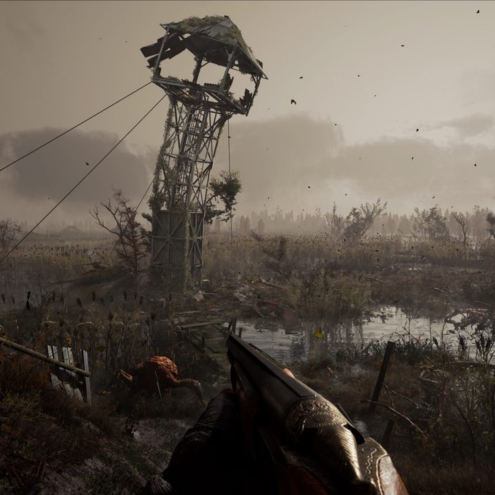 A dreary swamp in Stalker 2.