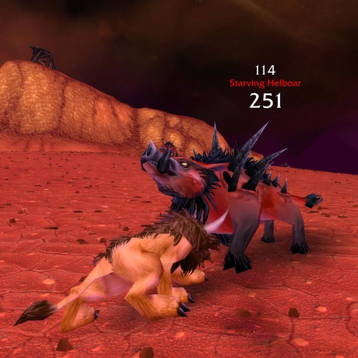 A Tauren Druid in Cat form battling a boar in Burning Crusade Classic.