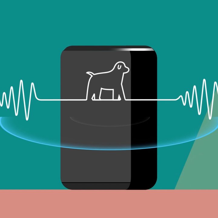 Amazon Echo enabling dog bark with Guard Plus.