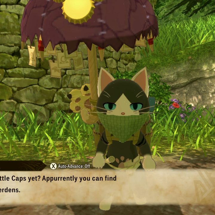 A conversation with the a cat vendor.