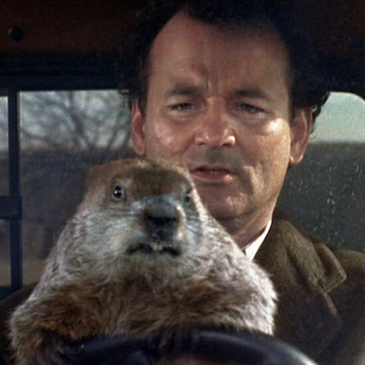 Bill Murray in the driver's seat of a car with a groundhog on the wheel.