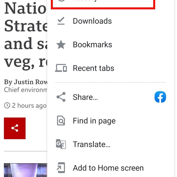 Browser history on Android.
