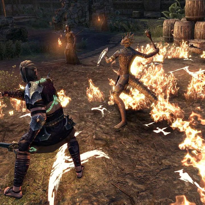 Elder Scrolls Online player fighting with a Companion.