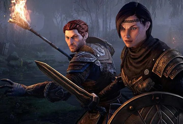 ESO Companion preparing for combat.