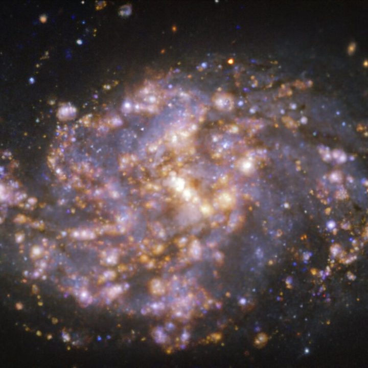 The galaxy NGC 1087. taken with the Multi-Unit Spectroscopic Explorer (MUSE) on ESO’s Very Large Telescope (VLT).