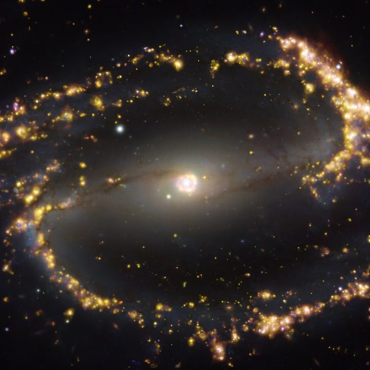 This image, taken with the Multi-Unit Spectroscopic Explorer (MUSE) on ESO’s Very Large Telescope (VLT), shows the nearby galaxy NGC 1300.