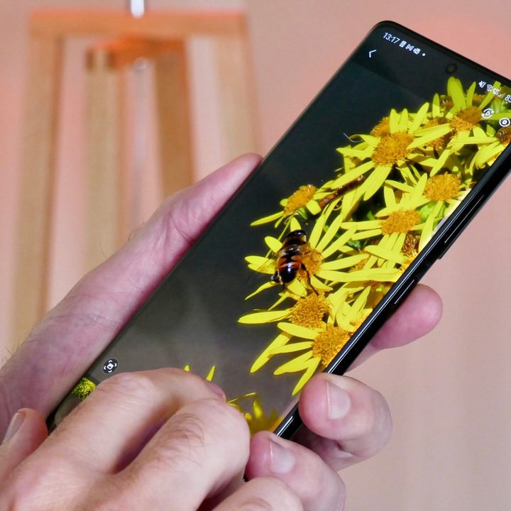 A photo being viewed on the Galaxy S21 Ultra.