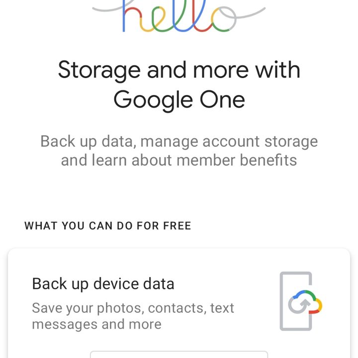 Google One app showing the home page.