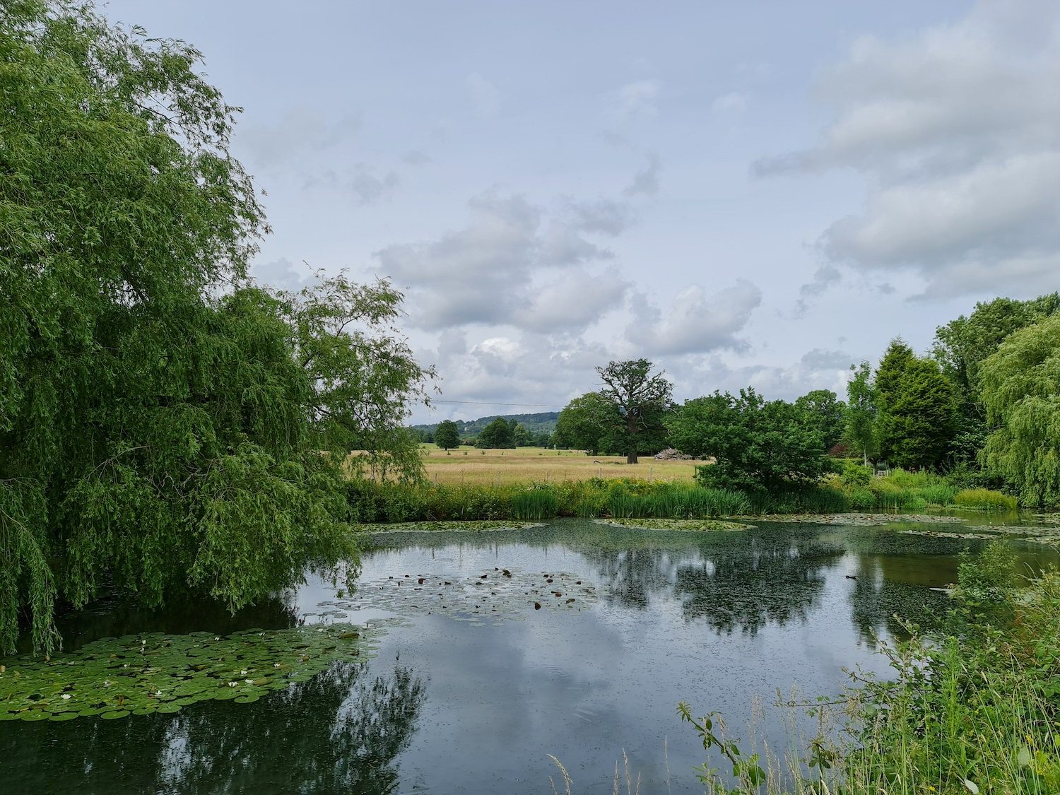 samsung galaxy note 20 ultra one year on main pond
