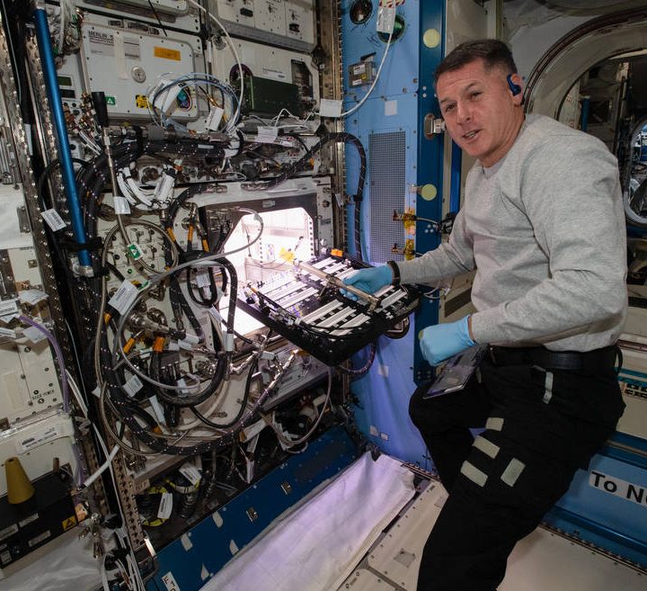 NASA astronaut Shane Kimbrough inserts a device called a science carrier into the Advanced Plant Habitat (APH), which contains 48 Hatch chile pepper seeds NASA started growing on July 12, 2021 as part of the Plant Habitat-04 experiment.