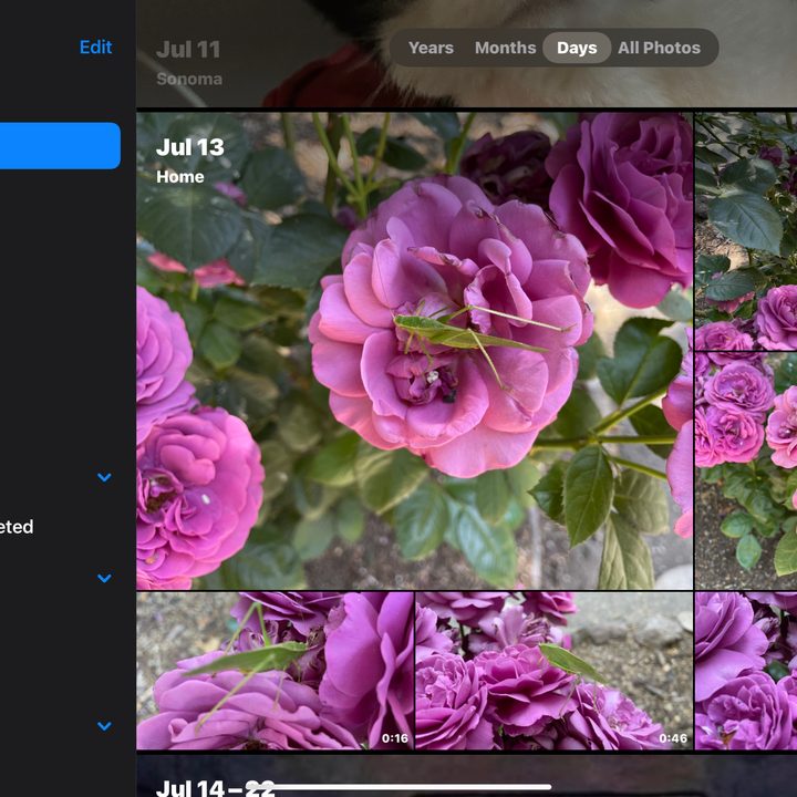 Photos app in iPadOS 14.