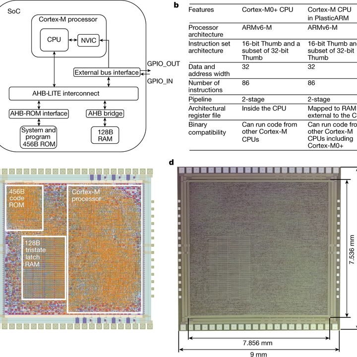The design of the PlasticARM processor.