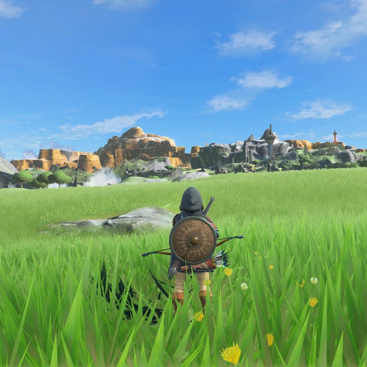 Link standing in a field in Breath of the Wild.