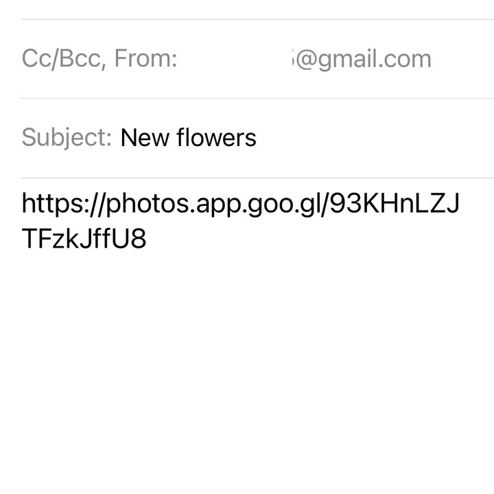 Sharing photos on Google.
