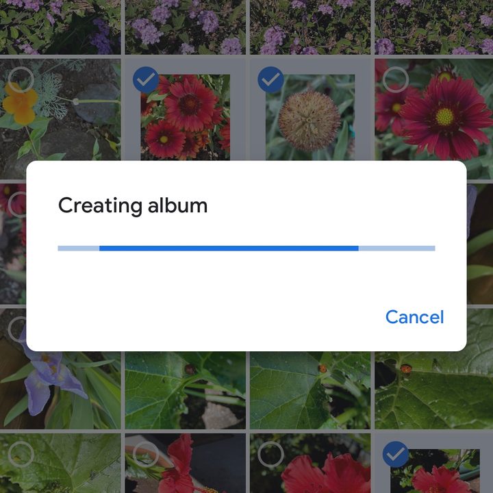 Sharing photos on Google.