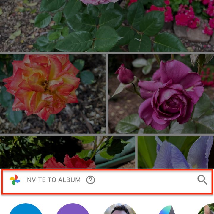 Sharing photos on Google.