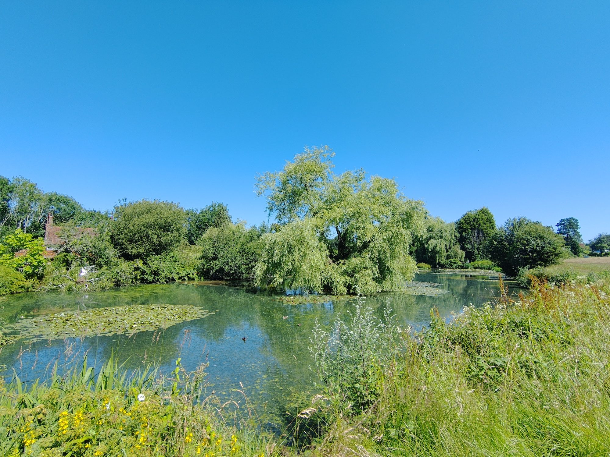 Wide angle photo of a country scene taken with the TCL 20 Pro 5G.