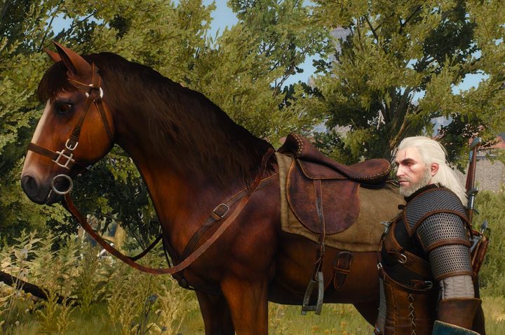 Geralt from The Witcher 3 and his horse Roach.