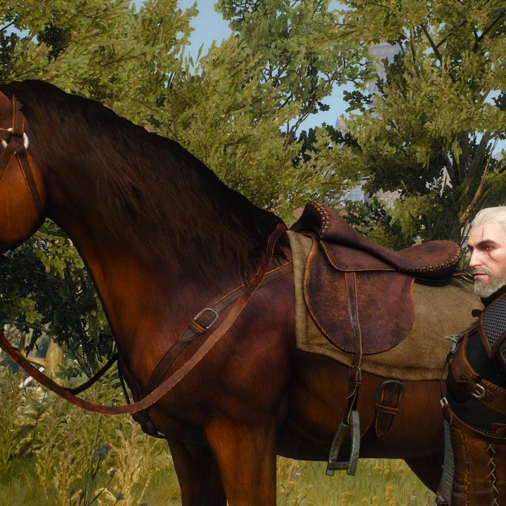 Geralt from The Witcher 3 and his horse Roach.