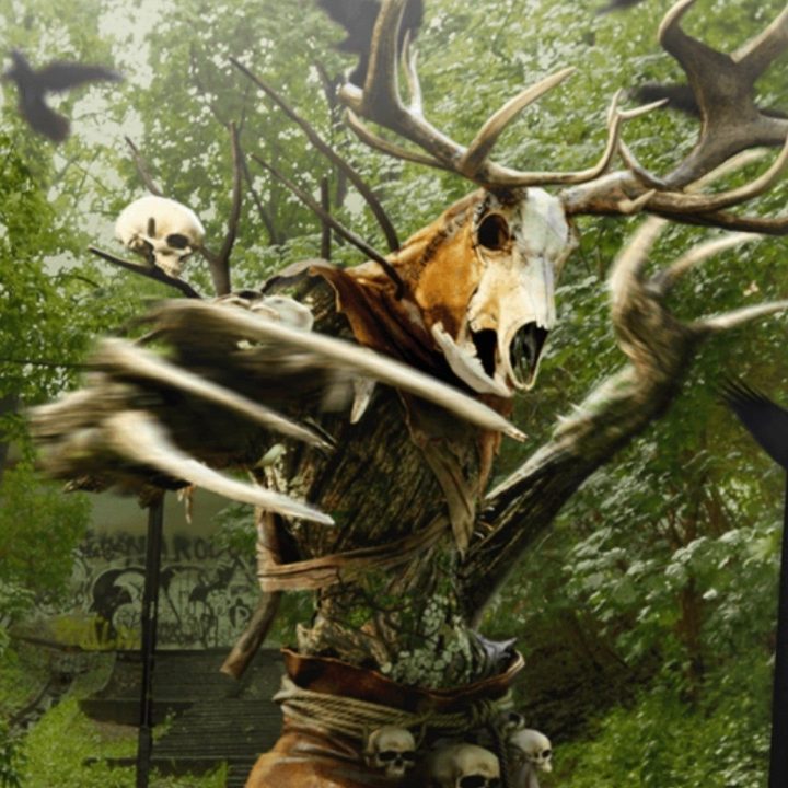 Enemy in The Witcher Monster Slayer attacking through phone.