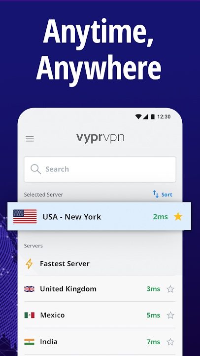 VyprVPN.