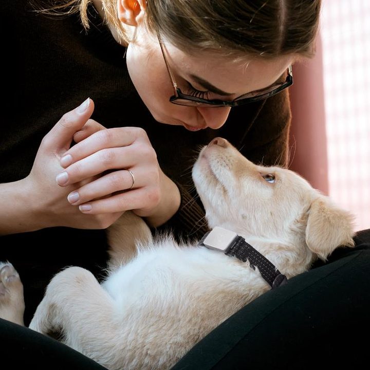 Whistle Switch Smart Collar worn by puppy whose female owner is giving it a kiss.