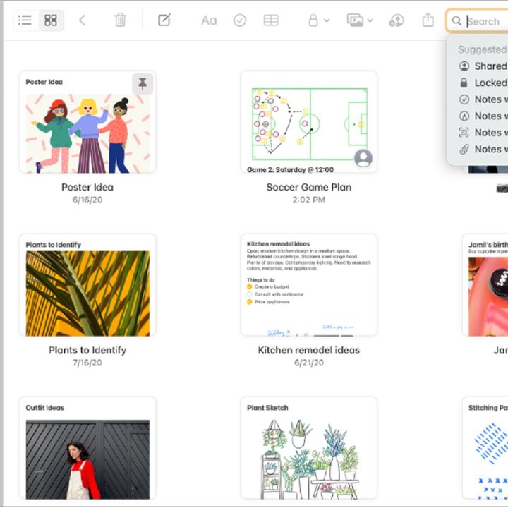 The Notes app being used on MacOS.