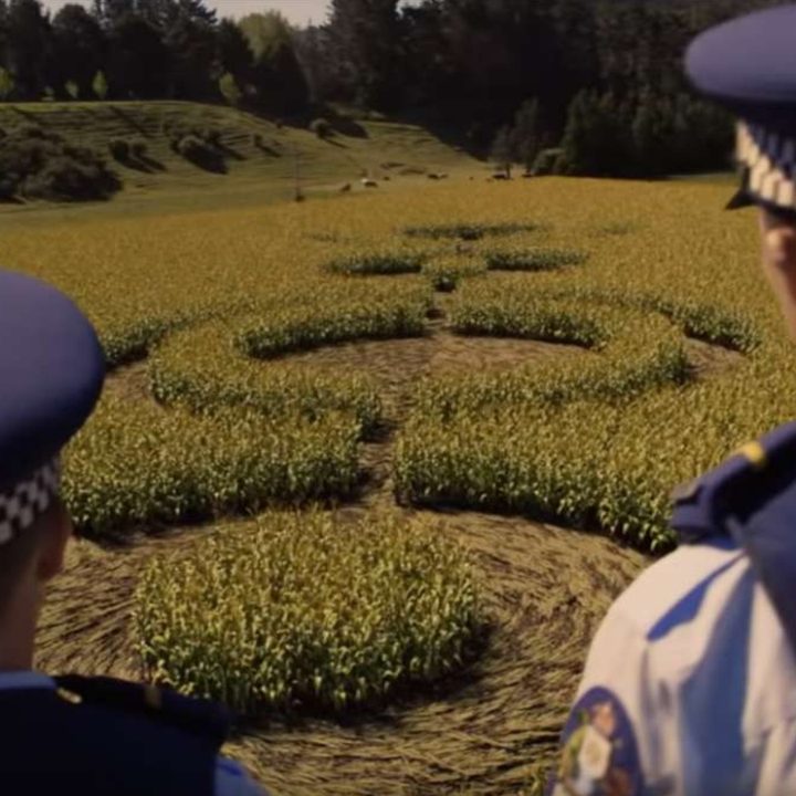 The cops in Wellington Paranormal looking at crop circles.