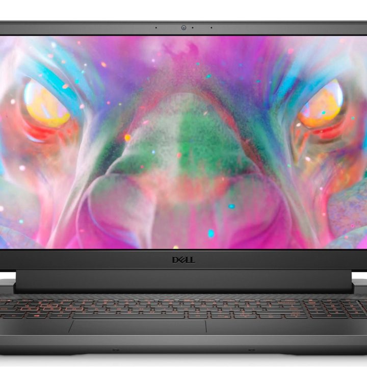 The Dell G15 gaming laptop with a colorful creature on the screen.