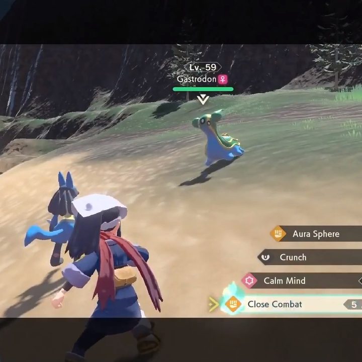 A battle against a Gastrodon in Pokemon Legends: Arceus.