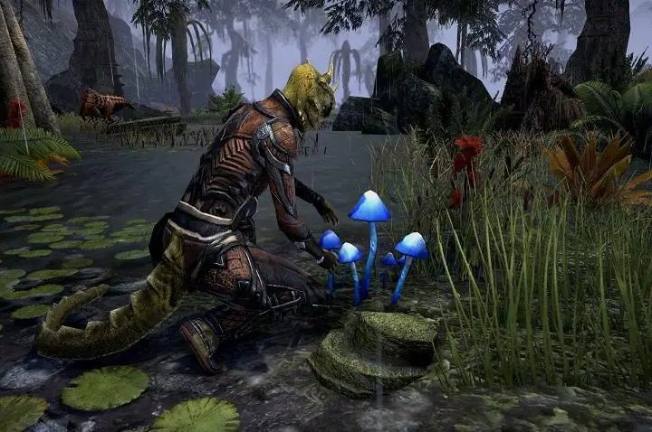 ESO player gathering plants.