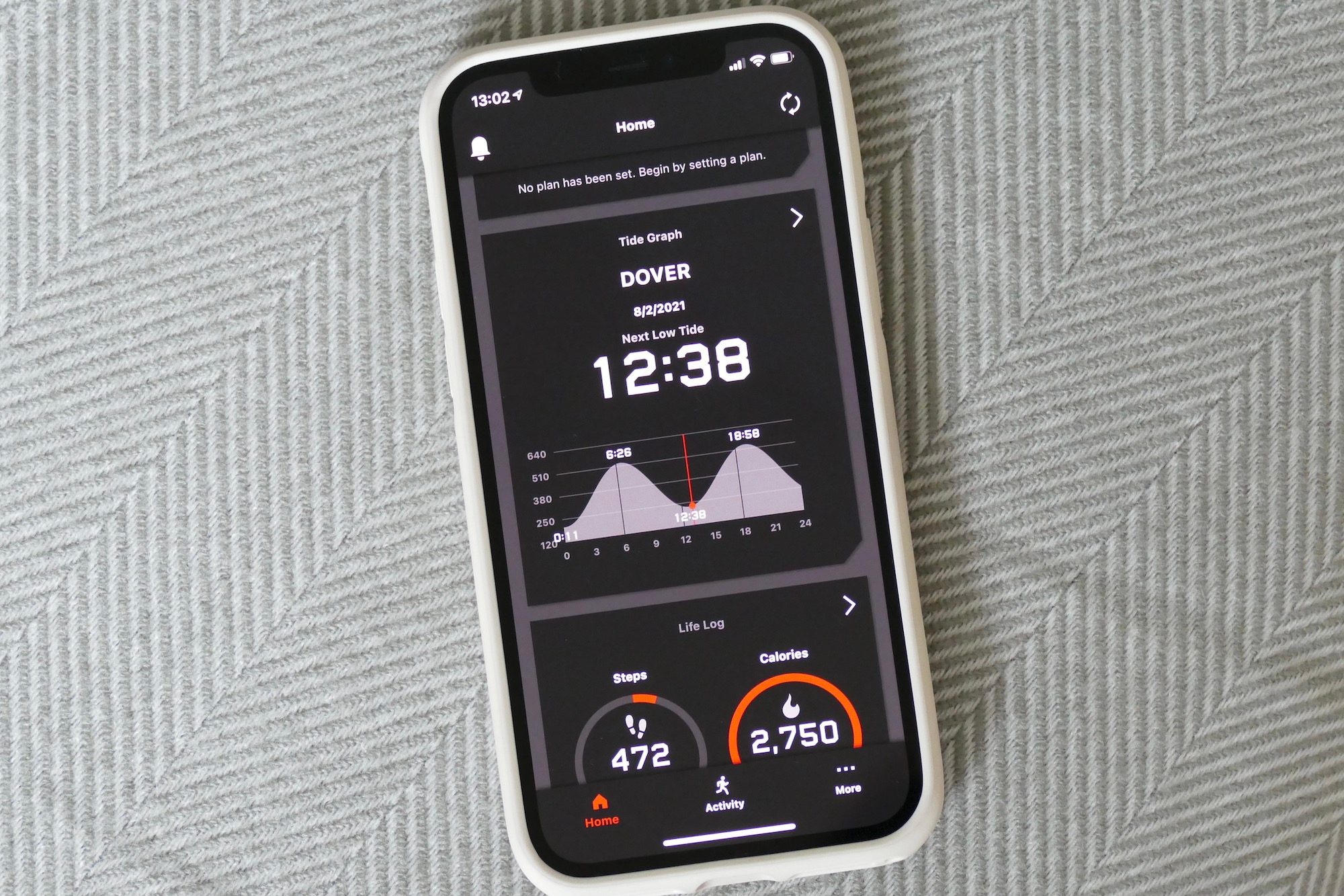 The tide graph on the G Shock Move app.