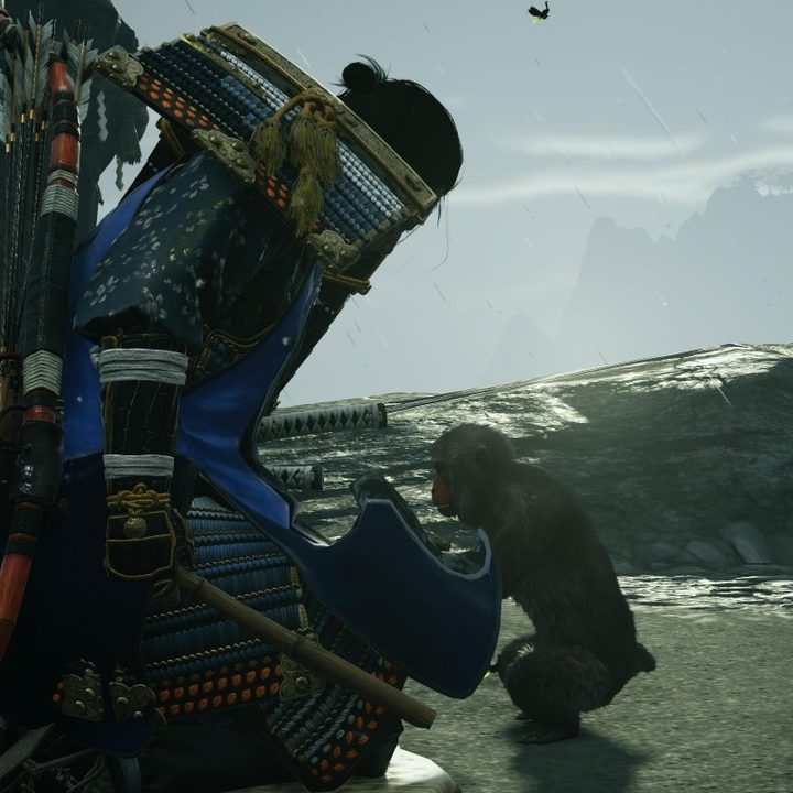Jin kneels to pet a monkey on Iki Island in Ghost of Tsushima: Director's Cut.