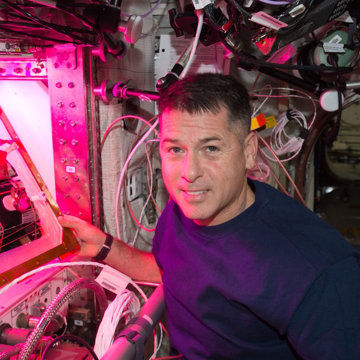 Shane Kimbrough growing lettuce on the International Space Station.