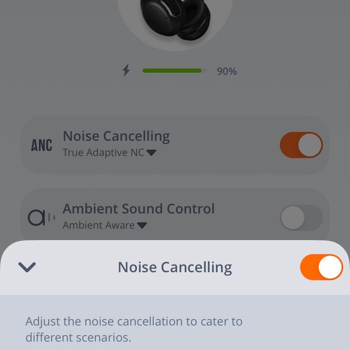 Screenshot from JBL Headphones App.