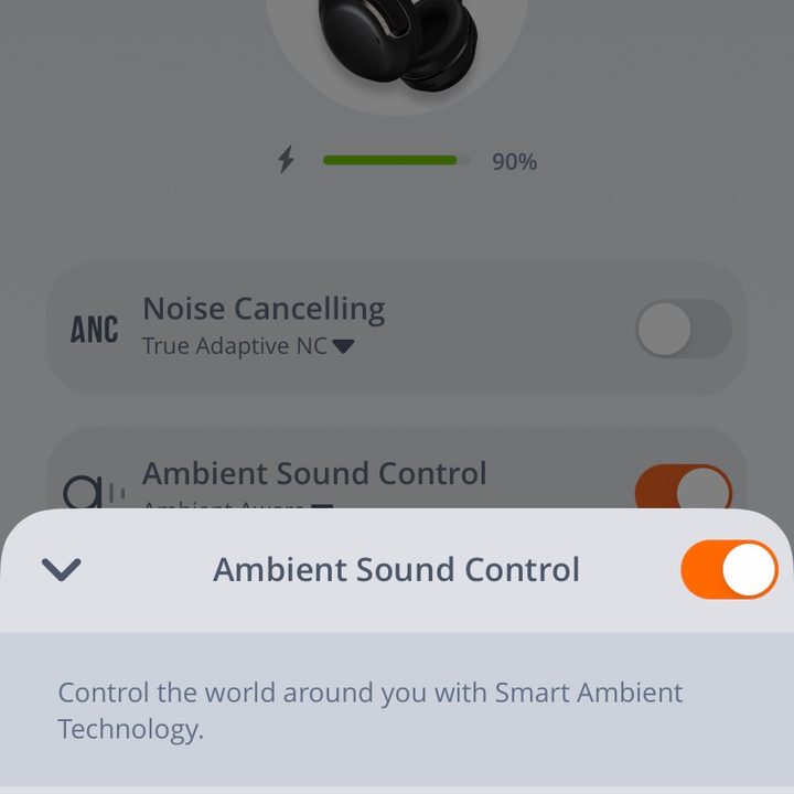 Screenshot from JBL Headphones App.