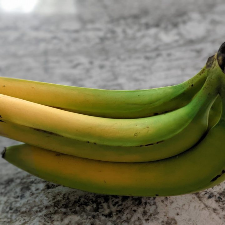 google pixel 5a 5g review portrait mode sample 1500x1000