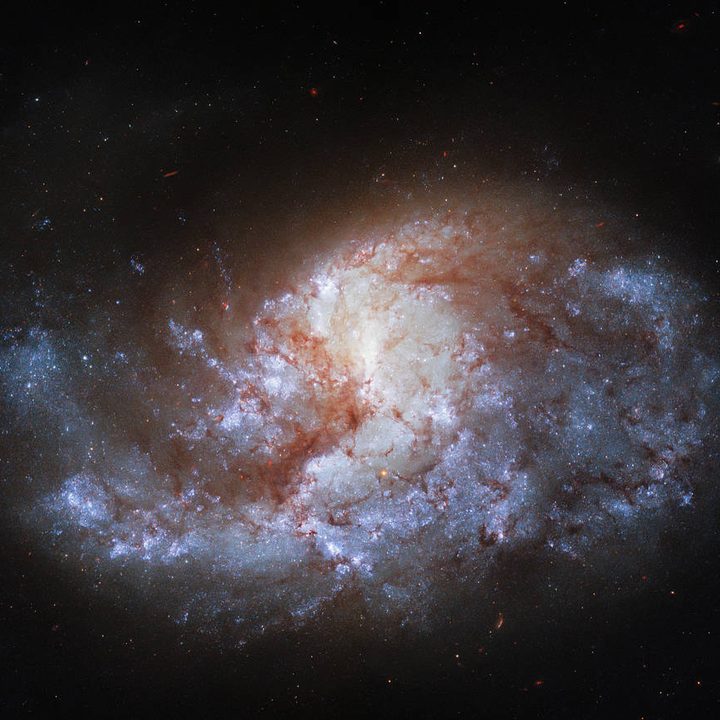 NGC 1385, a spiral galaxy 68 million light-years from Earth.