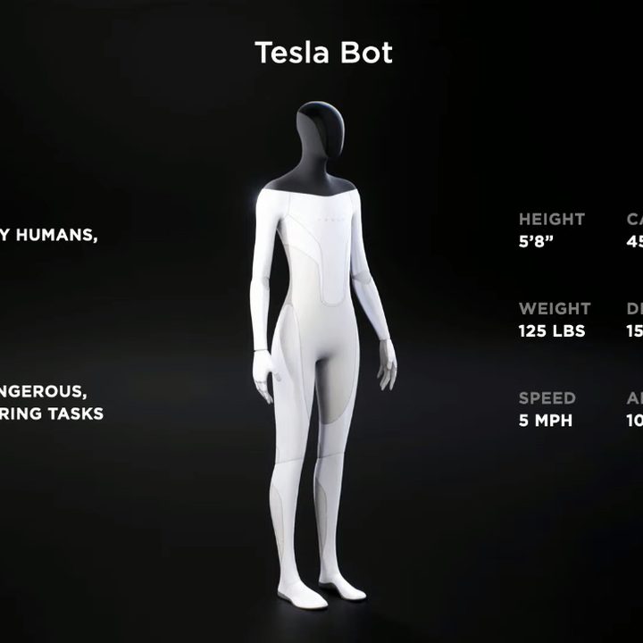 Tesla's humanoid robot.
