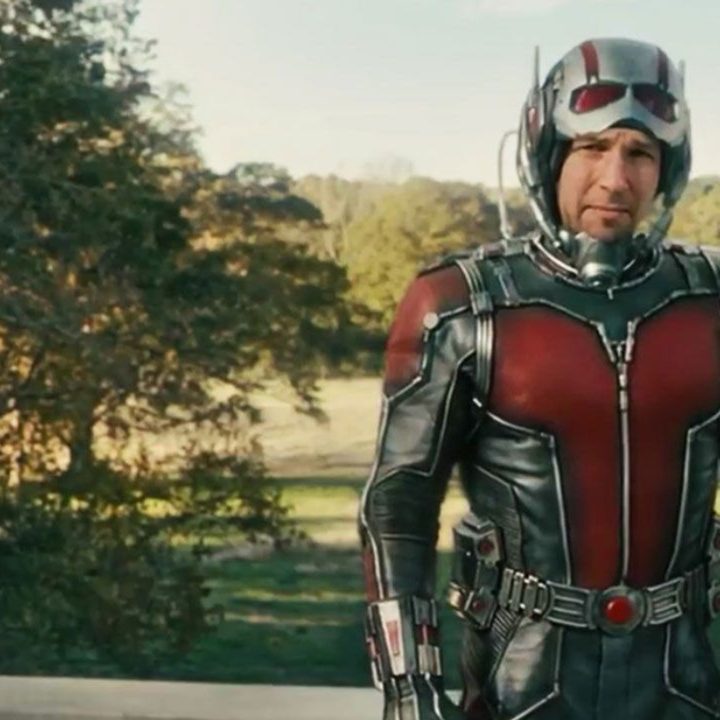 Ant-Man in the 2015 film.