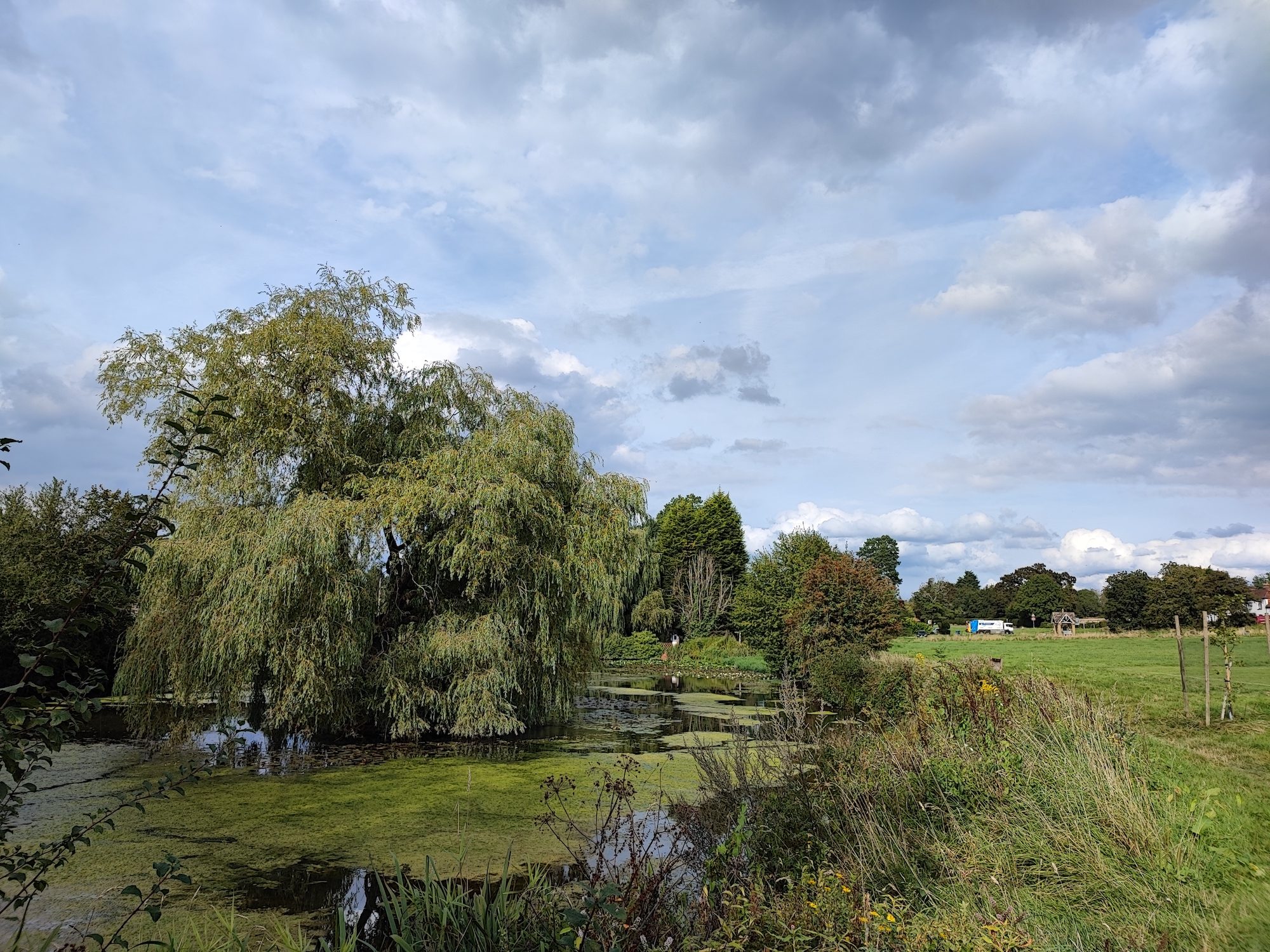 Photo of a pond taken with the Xiaomi 11T Pro.