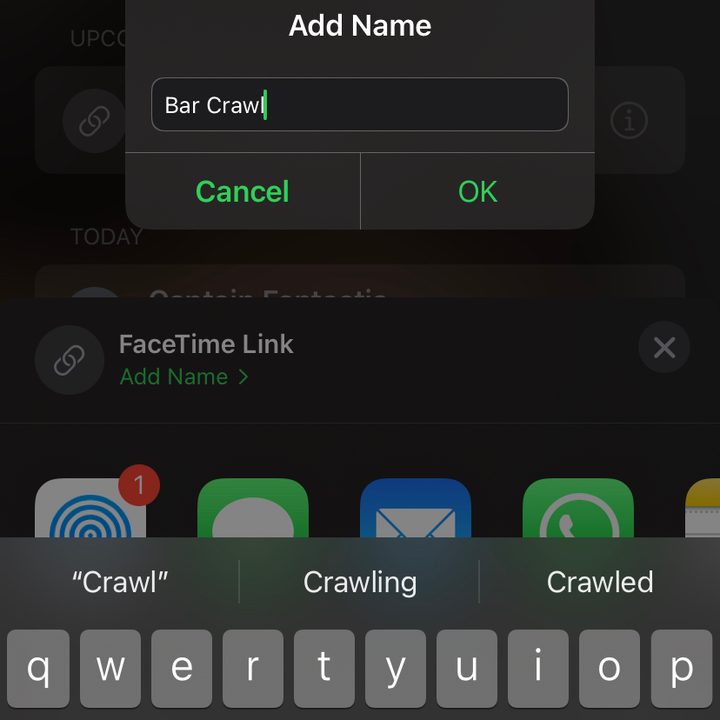 Adding a FaceTime Link name.