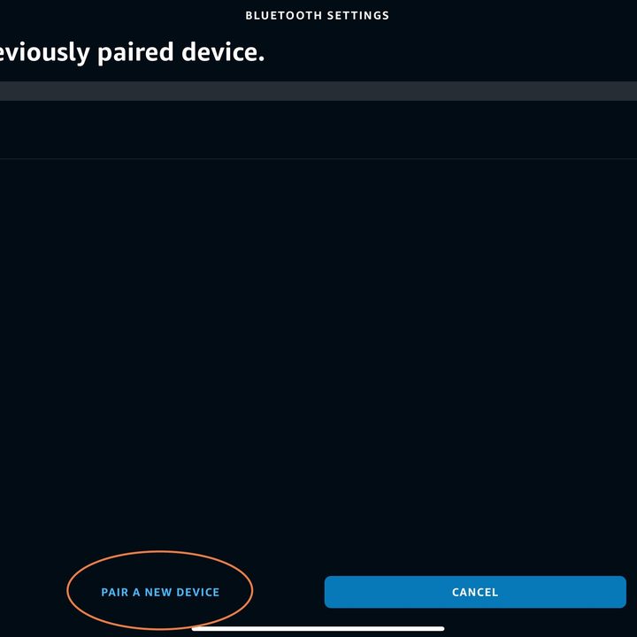 Alexa showing option to pair new Bluetooth device.