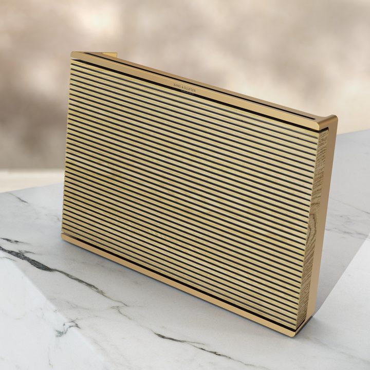 Bang & Olufsen Beosound Level