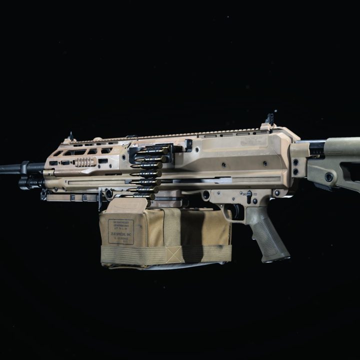 RAAL LMG in Warzone.